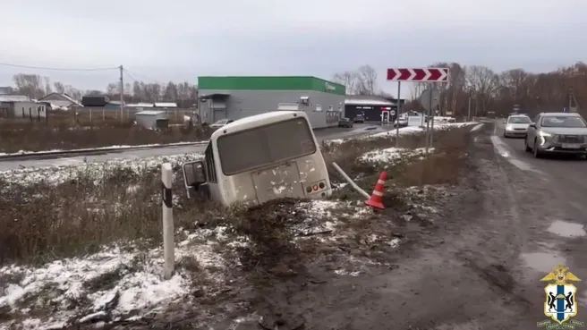 Под Новосибирском в кювет опрокинулся автобус № 115: пострадали 8 человек