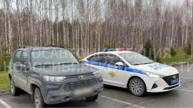 ГАИ нашла водителя «Нивы», проехавшего по ступенькам у гимназии