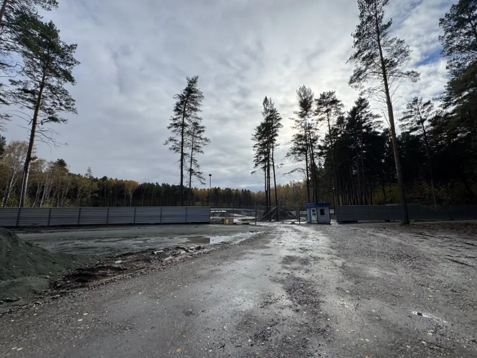 Полиция не нашла состава преступления в вырубке в Сосновом бору